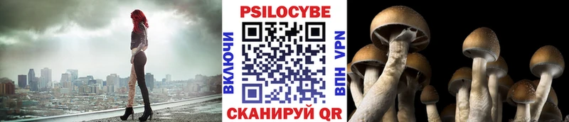 Псилоцибиновые грибы прущие грибы  Купить закладки  Дно 